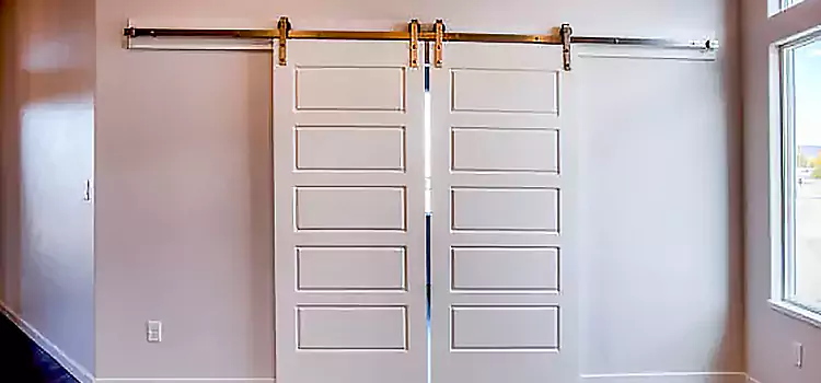 Glass Barn Door with Installation Hardware Kit Elmhurst
